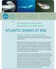 atlantic_sharks_at_risk.jpg
