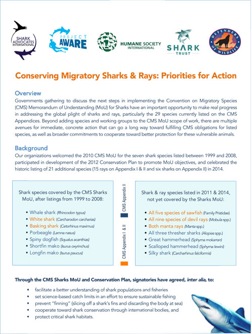 shark conservation measures graphic