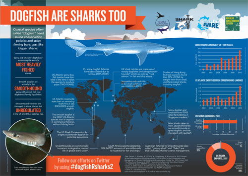 Dogfish are sharks, too